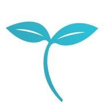 Turmerry Coupon Codes Turmerry Coupon Codes